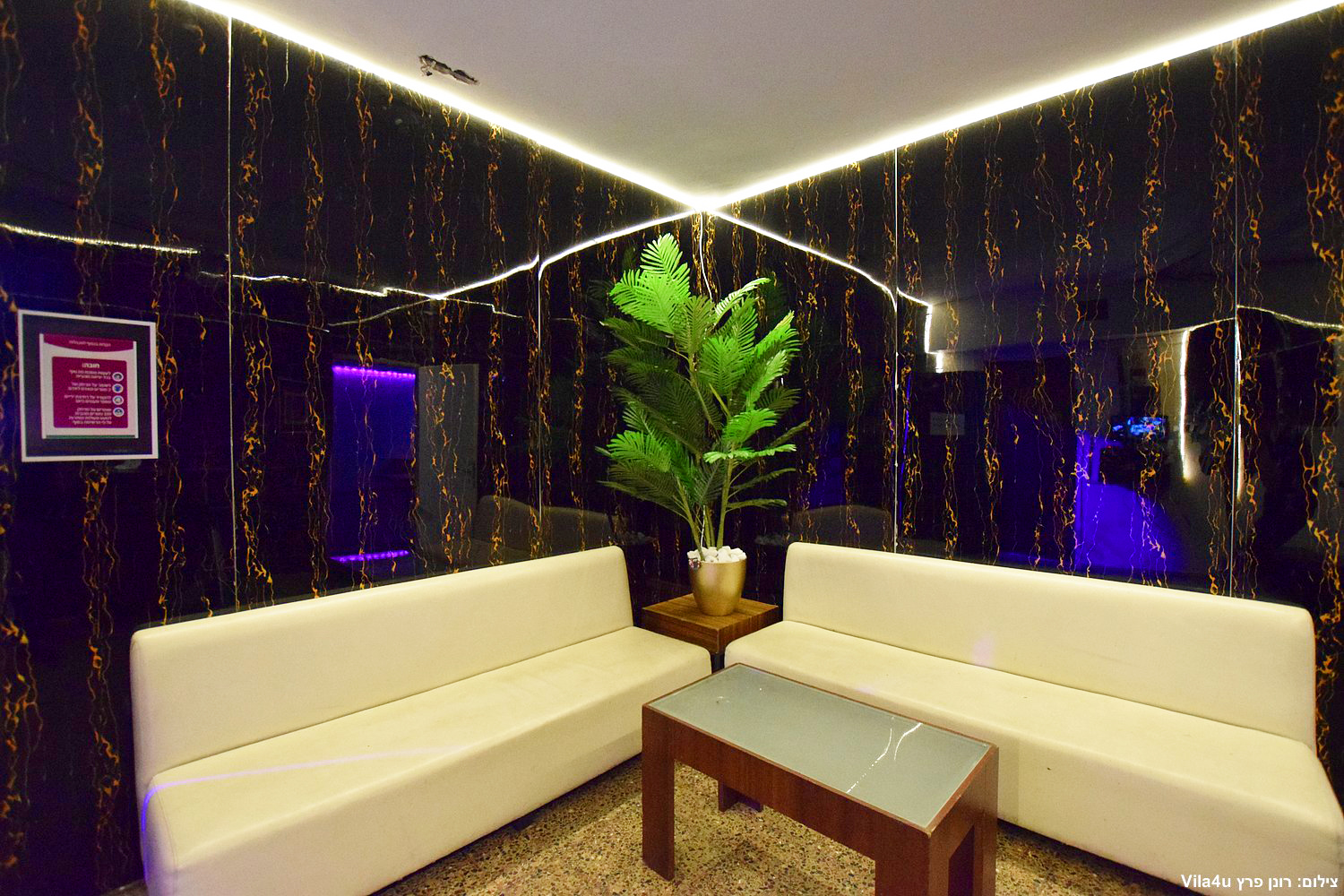 לופט אלמוגים נתניה